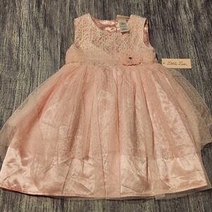 Little Lass Girls 4T Pink Lace Tulle Dress‎ Party Special Occasion NWT